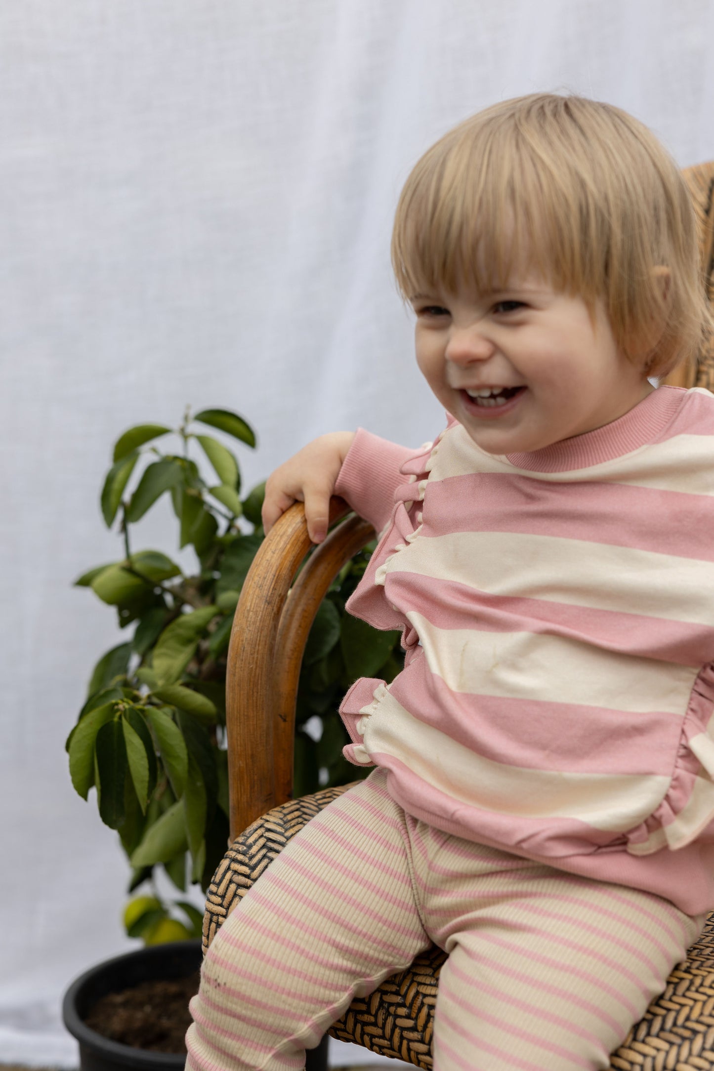 Rosa/weiß gestreifter Pullover mit Rüschen von Petit Piao, Größe 68-122