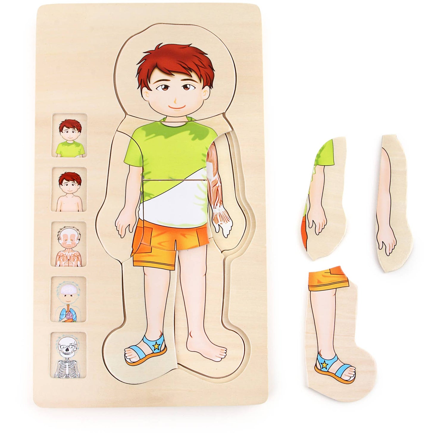 Schichtenpuzzle "Anatomie Junge" aus Holz von Small Foot