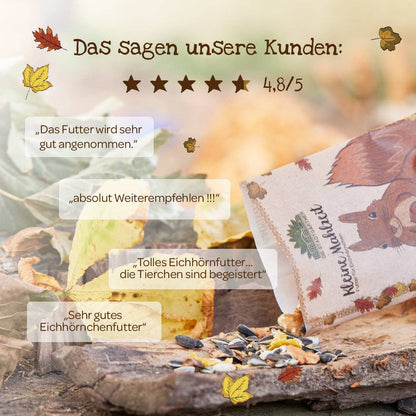 Kleine Mahlzeit für Eichhörnchen von Stadtgärtner