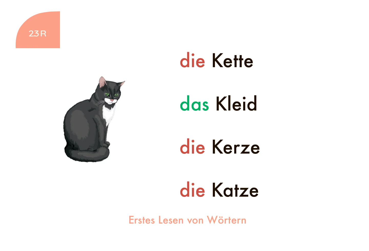 Kartensatz "Erstes Lesen von Wörtern" für den Lochkasten (1. Klasse)