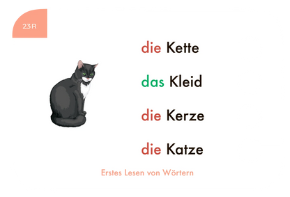 Kartensatz "Erstes Lesen von Wörtern" für den Lochkasten (1. Klasse)