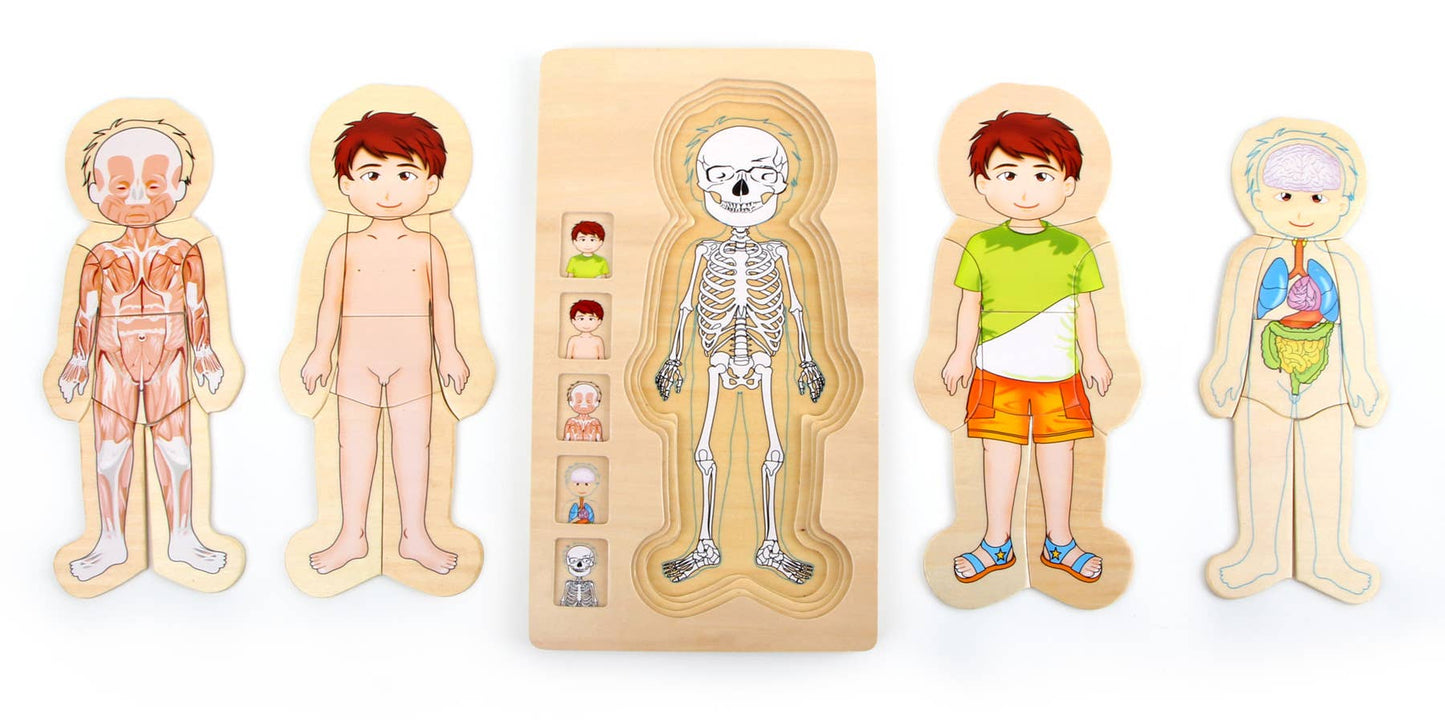 Schichtenpuzzle "Anatomie Junge" aus Holz von Small Foot
