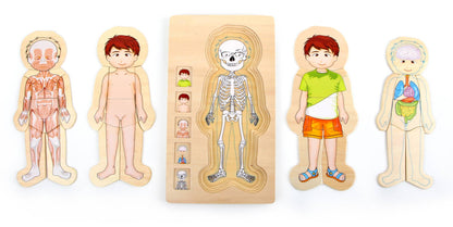 Schichtenpuzzle "Anatomie Junge" aus Holz von Small Foot