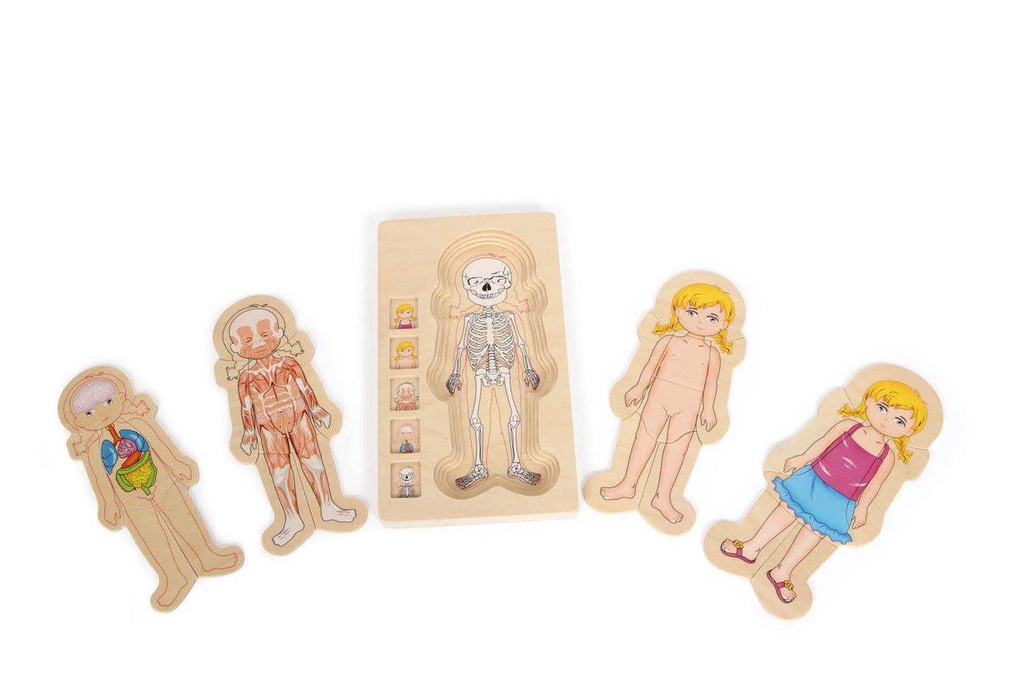 Schichtenpuzzle "Anatomie Mädchen" aus Holz von Small Foot
