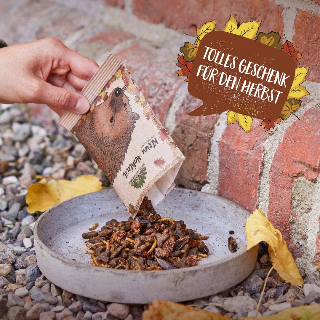 Kleine Mahlzeit für Igel von Stadtgärtner