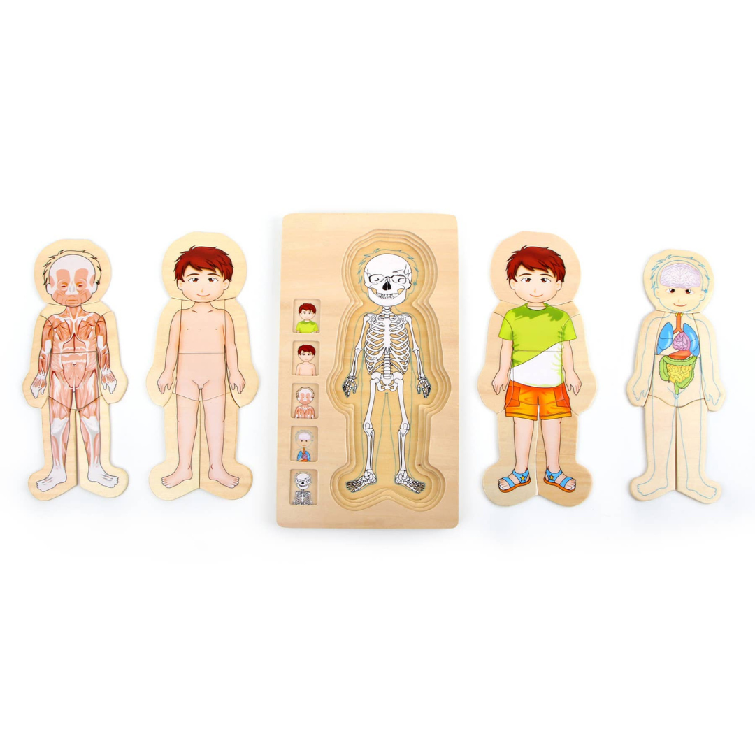 Schichtenpuzzle "Anatomie Junge" aus Holz von Small Foot