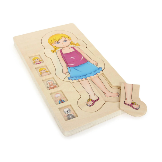 Schichtenpuzzle "Anatomie Mädchen" aus Holz von Small Foot