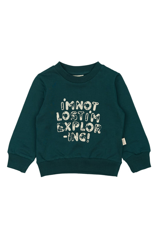 Der Pullover/Sweater in dunkelgrün von Petit Piao ist perfekt für Kinder von Größe 68-122. 