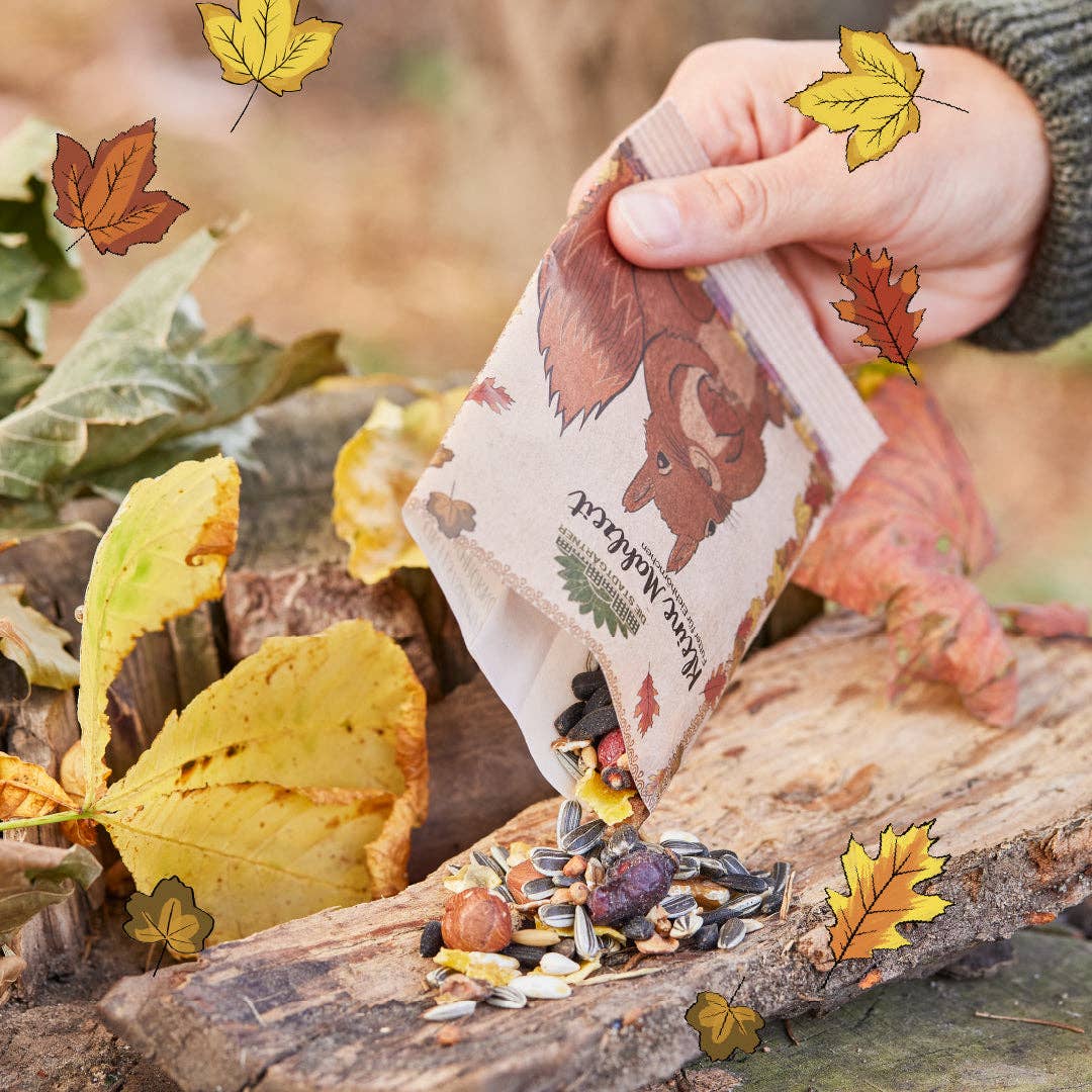 Kleine Mahlzeit für Eichhörnchen von Stadtgärtner