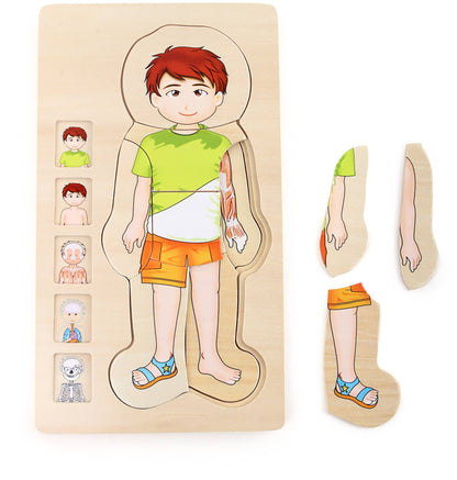 Schichtenpuzzle "Anatomie Junge" aus Holz von Small Foot