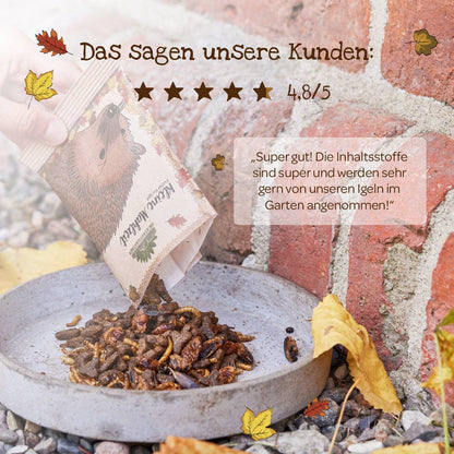 Kleine Mahlzeit für Igel von Stadtgärtner