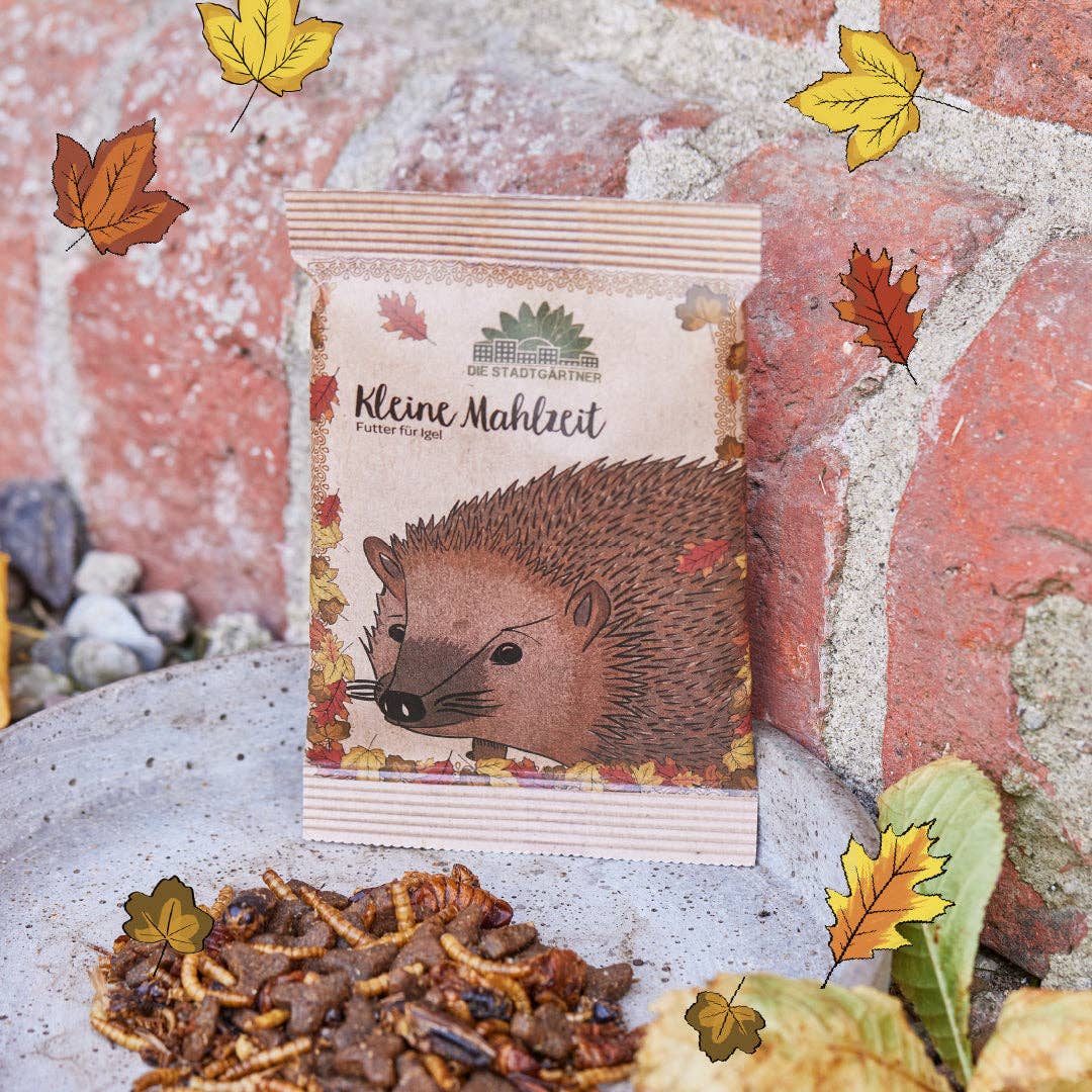 Kleine Mahlzeit für Igel von Stadtgärtner