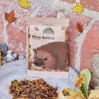 Kleine Mahlzeit für Igel von Stadtgärtner