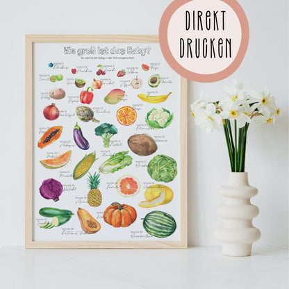 DIGITALE DATEI: Poster "Früchte" für die Schwangerschaft