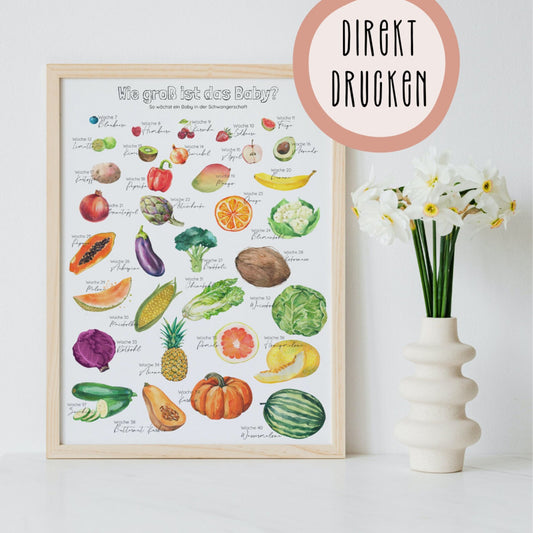 DIGITALE DATEI: Poster "Früchte" für die Schwangerschaft
