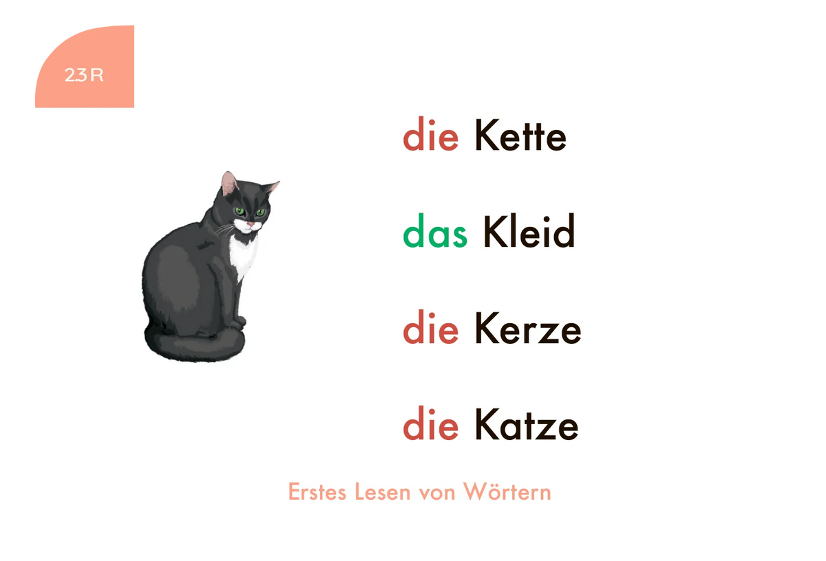Beispielkarte "die Katze" aus dem Kartensatz "Erstes Lesen von Wörtern" für den Lochkasten – Zuordnungsspiel für die 1. Klasse vom Kölner Lernspielverlag