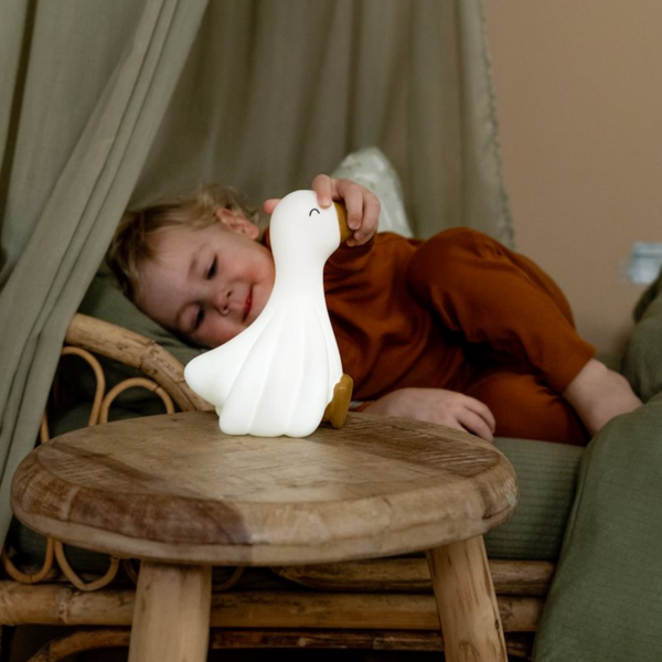 Gans Nachtlicht von Little Dutch