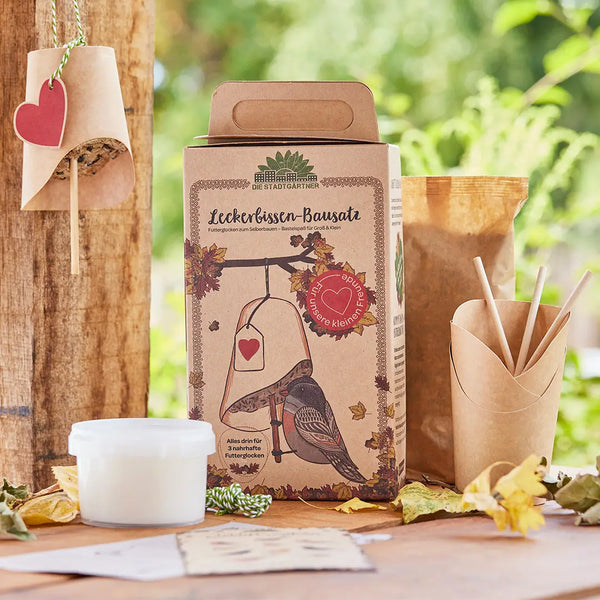 DIY Bausatz: Futterglocken für Vögel selber machen